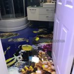 3D Epoksi Banyo Zemini Kaplama